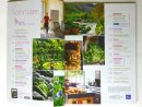 Magazine «Mon Jardin, Ma Maison» N°626 Mars 2012 - Mon Petit ... destiné Abonnement Mon Jardin Ma Maison