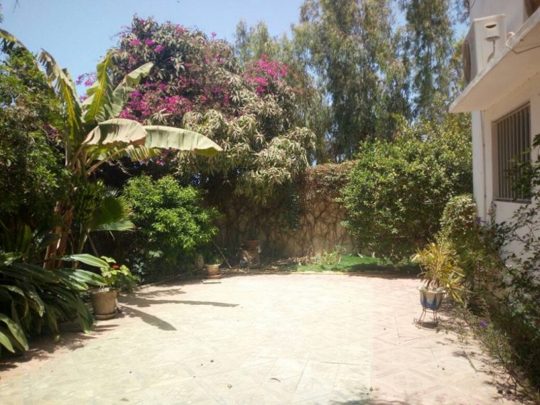 Maison Expat Dakar A Louer Avec Jardin Mamelles Dakar … dedans Maison A Louer Avec Jardin