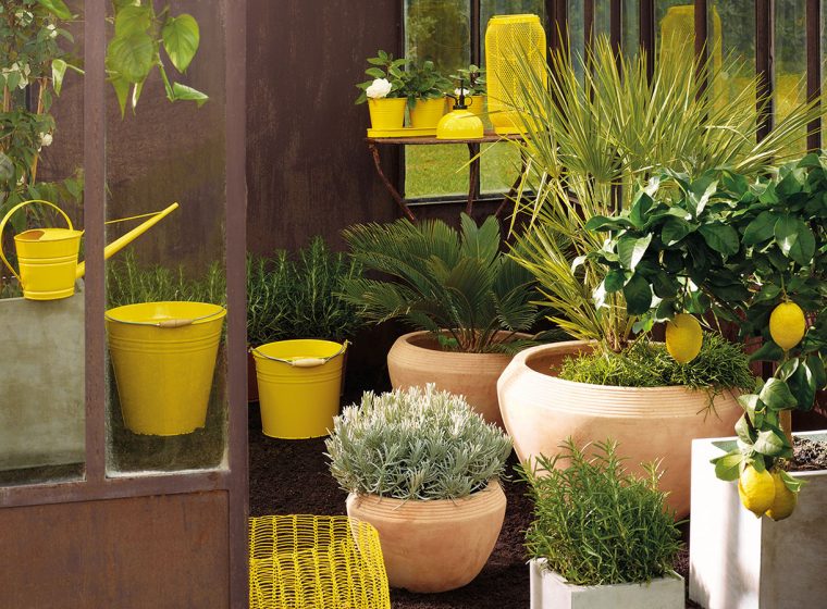 Mobilier De Jardin : Mettez De La Couleur Au Jardin Avec Le … intérieur Pot Couleur Jardin