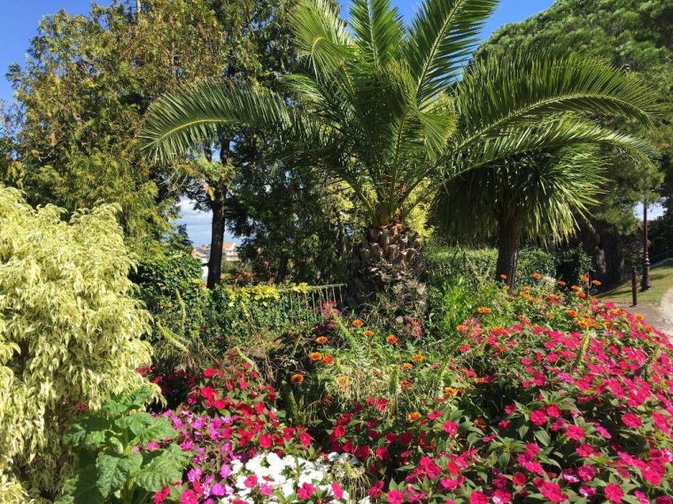 Palmiers Du Parc Mauresque Arcachon – La France De Poupie pour Jardin Mauresque Arcachon