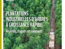 Pdf) Plantations Industrielles D'arbres À Croissance Rapide ... encequiconcerne Arbre À Croissance Rapide