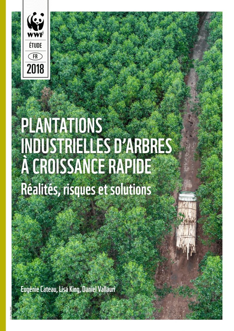 Pdf) Plantations Industrielles D'arbres À Croissance Rapide … encequiconcerne Arbre À Croissance Rapide
