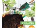 Salon De Jardin Leclerc Catalogue - The Best Undercut Ponytail pour Mini Serre Jardin Leclerc