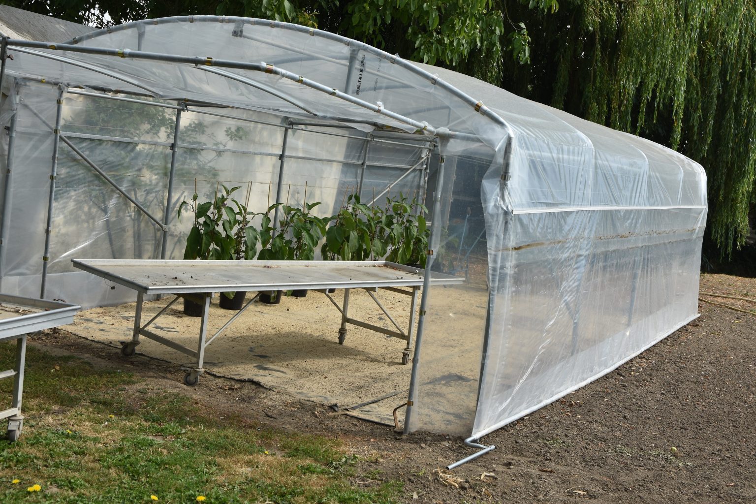 Tunnel Rigide Jardin