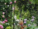 Un Jardin De Roses Et De Vivaces Dans Les Landes | Aménager ... intérieur Detente Jardin