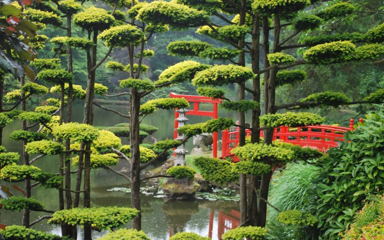 jardin japonais aix en provence