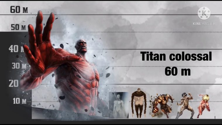 taille titan originel