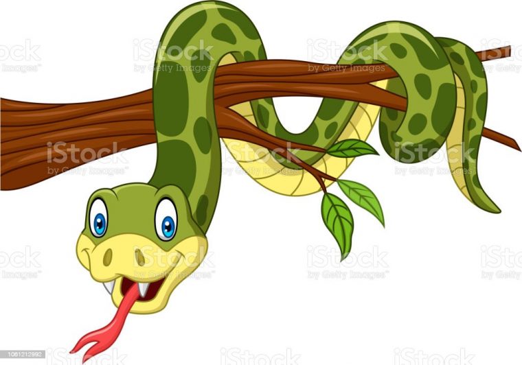 serpent enroulé dessin