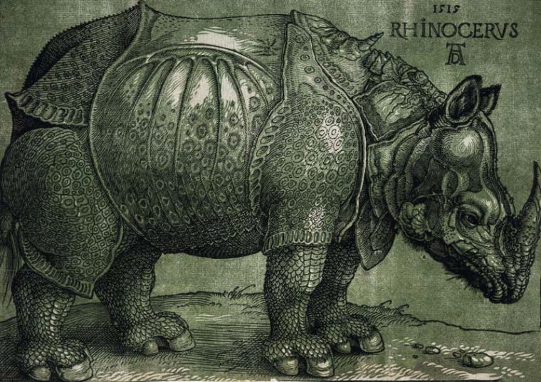 rhinoceros ionesco personnage