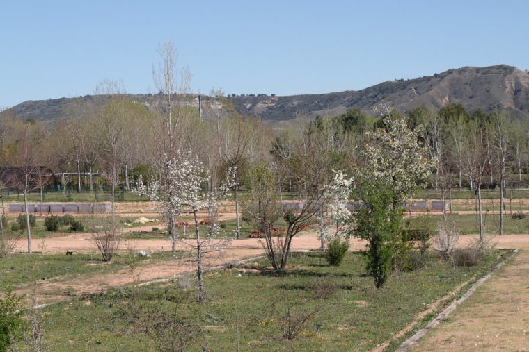 002141 – Alcalá De Henares | Real Jardín Botánico Juan … tout Jardin Botanico Alcala De Henares