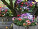10 Ideas Originales Para Jardines - Decoración De ... pour Ideas Para Decoracion De Jardines