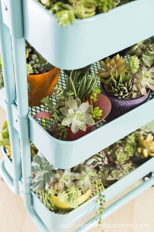 10 Ideas Para Tener Un Mini Jardín En Casa | Mujer De 10 destiné Como Tener Un Jardin En Casa