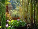 10 Tipos De Jardín Y Sus Características | Plantas tout Jardin Tropical Plantas