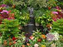 10 Tropical Ideas To Make Your Garden An Exotic Oasis - My ... avec Jardin Tropical Plantas