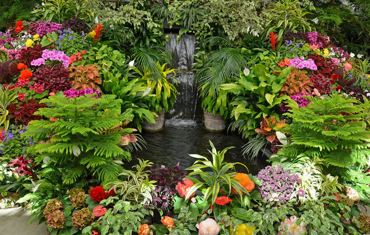 10 Tropical Ideas To Make Your Garden An Exotic Oasis – My … avec Jardin Tropical Plantas