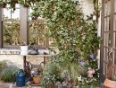 1001 + Ideas Sobre Cómo Decorar Un Jardín Pequeño ... à Plantas Para Jardines Pequeños