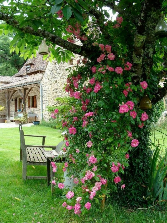 1001 + Ideas Sobre Cómo Decorar Un Jardín Pequeño | Como ... tout Jardines Con Encanto