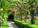 1001 + Ideas Sobre Diseño De Jardines Irresistibles Y ... serapportantà Arbustos Para Jardin Pequeño