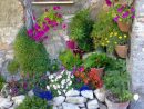 1001+ Idées Et Conseils Pour Aménager Une Rocaille Fleurie ... destiné Modele De Petit Jardin Fleuri