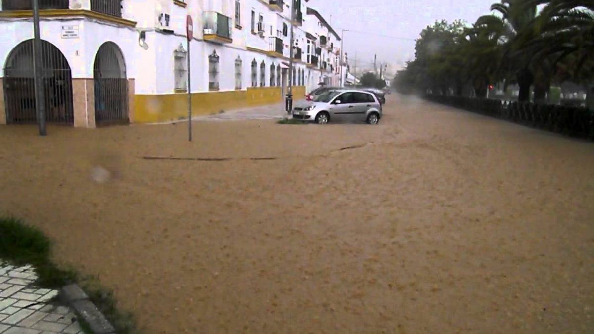 17 Noviembre 2012 Ciudad Jardin Málaga - à Ciudad Jardin Malaga