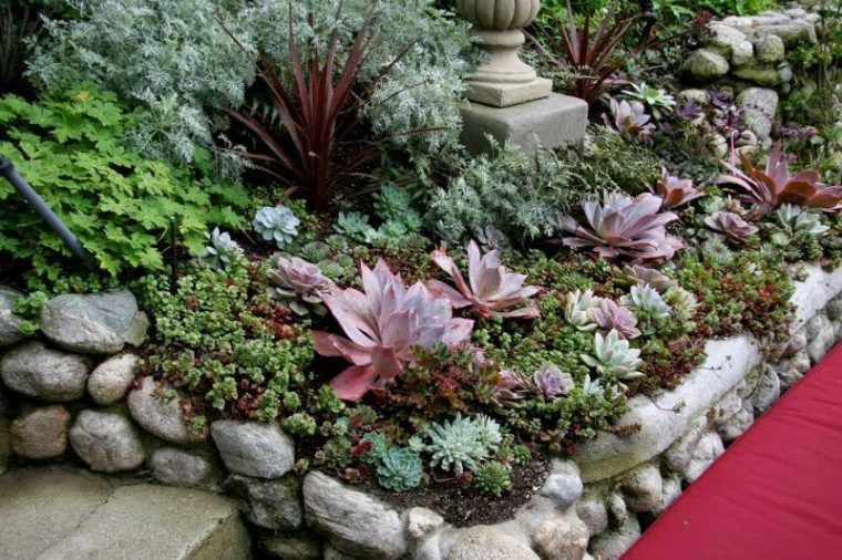 20 Ideas Para Decorar Un Lindo Jardín Con Suculentas à Como Hacer Un Jardin Bonito Y Barato