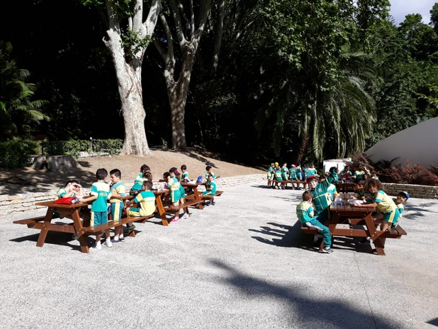 2º De Educación Primaria Visita El &quot;Jardín Botánico ... avec Colegio Jardin Botanico