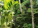 42 Tropical Landscape Designs Ideas | Jardines Tropicales ... intérieur Jardin Tropical Plantas