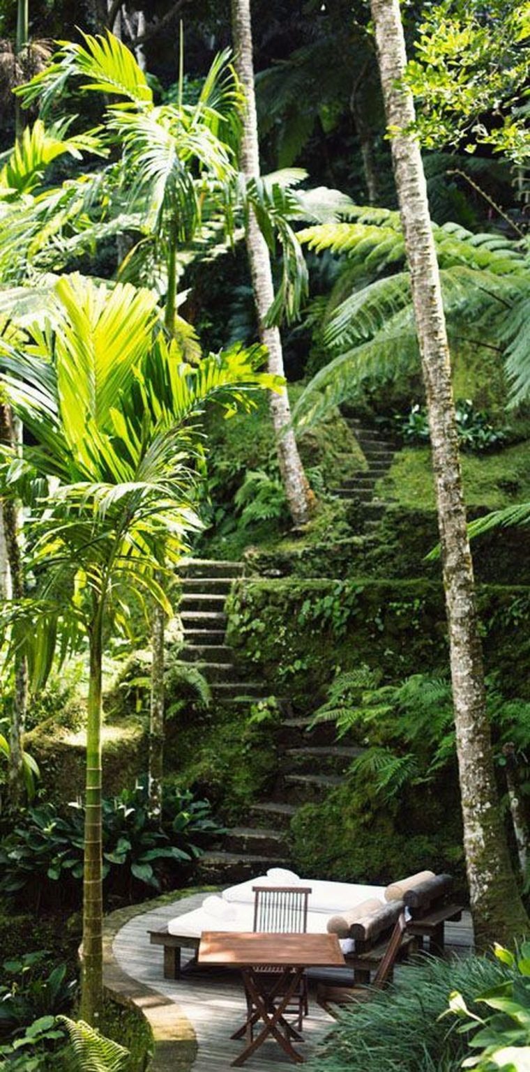 42 Tropical Landscape Designs Ideas | Jardines Tropicales … intérieur Jardin Tropical Plantas