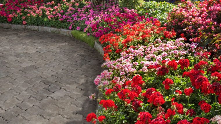 5 Consejos Para Mantener Un Jardín Bonito – The Home Depot … tout Ideas Para Un Jardin Bonito