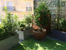 53 Ideas Simples Para Jardines Y Patios Pequeños | Homify serapportantà Plantas Para Jardines Pequeños