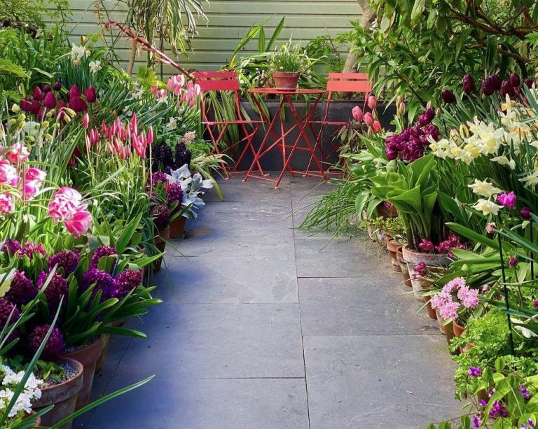 +60 Ideas Para Decorar Jardines Pequeños Con Encanto ️ dedans Jardines Pequeños Con Encanto