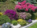 7 Plantas De Exterior Súper Resistentes Para Un Jardín A ... avec Flores De Verano Para Jardin