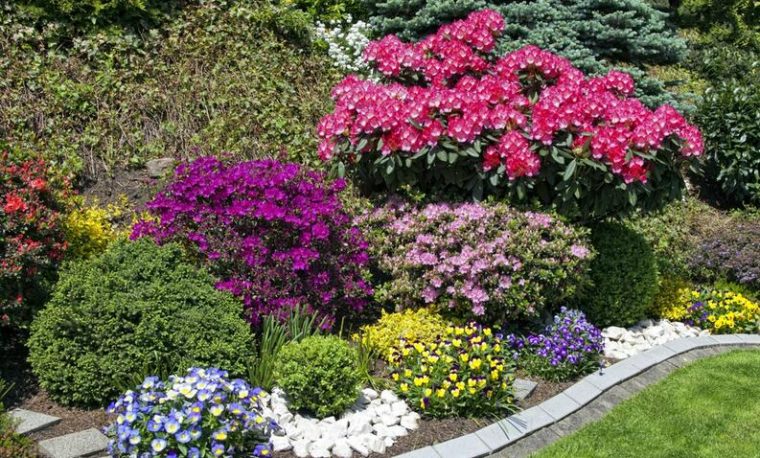 7 Plantas De Exterior Súper Resistentes Para Un Jardín A … avec Flores De Verano Para Jardin