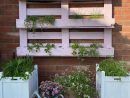 70 Ideas De Jardín Vertical De Paleta Para Decorar Por ... dedans Decorar Jardin Con Poco Dinero