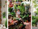 9 Pasos Fáciles Para Crear Tu Jardín En Una Casa Pequeña ... serapportantà Tu Jardin De Enanitos