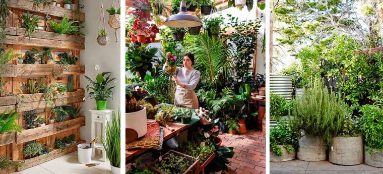 9 Pasos Fáciles Para Crear Tu Jardín En Una Casa Pequeña … serapportantà Tu Jardin De Enanitos