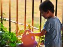 Acercar A Los Niños A Los Cuidados Del Jardín Y Las Plantas dedans Cuidados Del Jardin