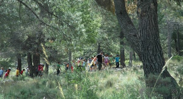 Almería Conecta A Los Escolares Con El Patrimonio Vegetal … serapportantà Jardin Botanico Rodalquilar