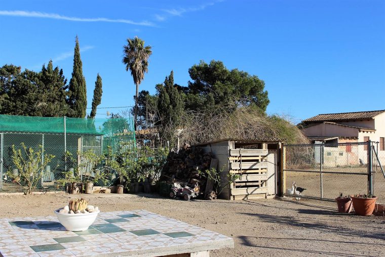 Alquiler Casa Rural En Deltebre – Casa Rural En El Delta … destiné Casa Rural El Jardin