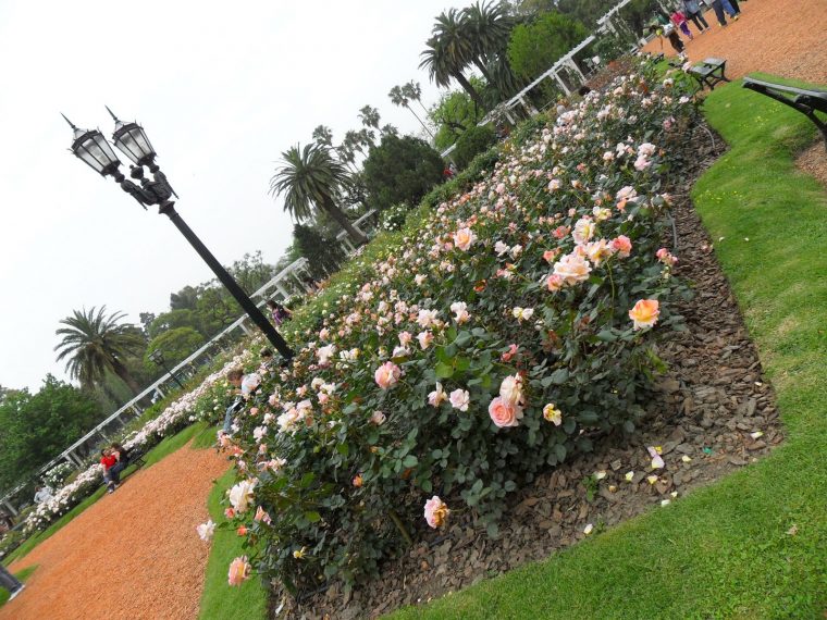 Amartuarte…: Jardín De Rosas. Palermo. Ciudad De Buenos … à Jardin De Flores Y Poesias