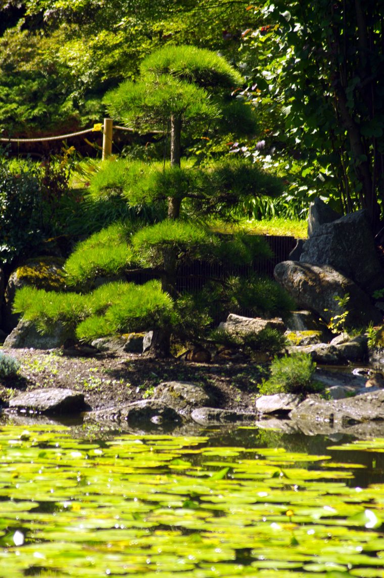 Antonio Delgado – Polonia – Wroclaw (Breslavia) – Jardín … à Jardin Japones Madrid