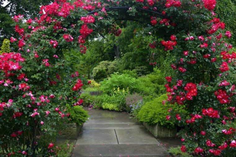 Arco Cubierto De Rosas | Cleveland Botanical Garden … avec Duncan Dhu Jardin De Rosas