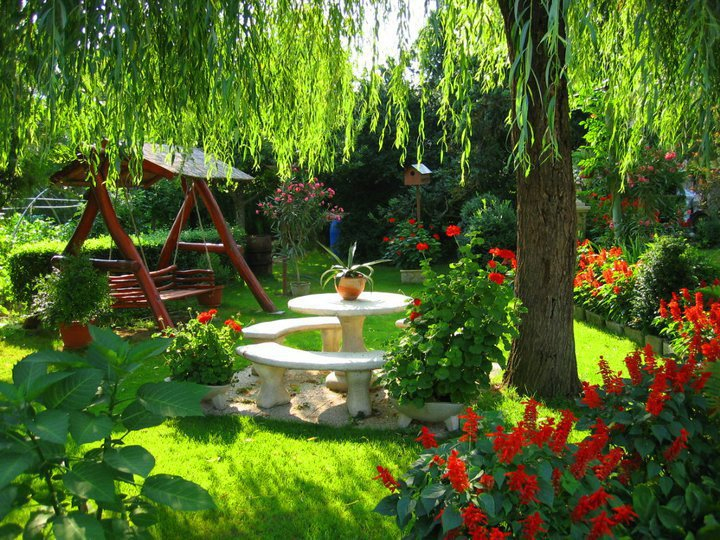 Arte Y Jardinería : Como Diseñar Un Jardin pour Como Hacer Un Jardin Bonito