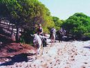 Aventura Ecuestre Tarifa - Web Oficial De Turismo De Andalucía concernant Camping El Jardín De Las Dunas