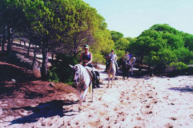 Aventura Ecuestre Tarifa – Web Oficial De Turismo De Andalucía concernant Camping El Jardín De Las Dunas