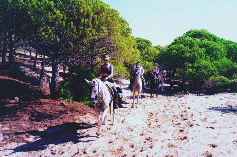 Aventura Ecuestre Tarifa - Web Oficial De Turismo De Andalucía concernant Camping El Jardín De Las Dunas