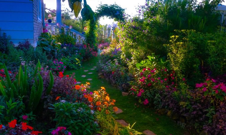 Banco De Imágenes: Jardín Con Miles De Flores De Colores … pour Duncan Dhu Jardin De Rosas