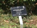 Barakaldo Coloca 175 Placas Identificativas En El Jardín ... dedans Jardin Botanico Barakaldo