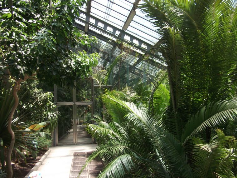 Blognatura: Jardin Botanico De Madrid / Madrid´s Botanical … à Jardin Botánico Madrid