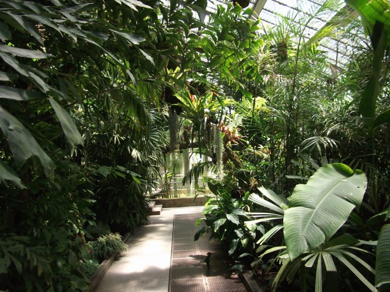 Blognatura: Jardin Botanico De Madrid / Madrid´s Botanical … avec El Jardin Botanico De Madrid